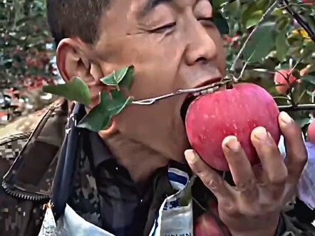 الرطوبة غنية حقًا!