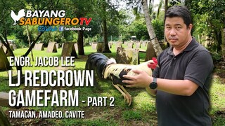 LJ Redcrown Gamefarm - Engr. Jacob Lee (Part 2)