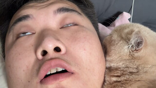 This cat is so sexy, it's going to become a spirit
