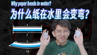 Tôi thả giấy vào nước và nó cong lại...?!