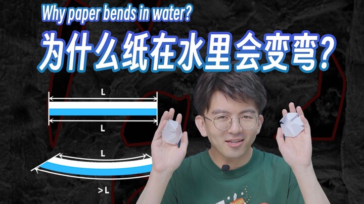 把纸放进水里，它竟然变弯了...？！