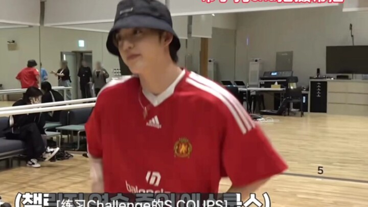 The cool and adorable pudding dog, Cha, really lost the bet—how many times did they end up calling Y