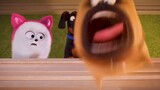 【The Secret Life Of Pets Snippet】Only Cats Land On Their Claws