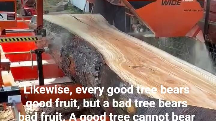 刺槐 的 木纹 是 最 漂亮 的 木纹 之一。