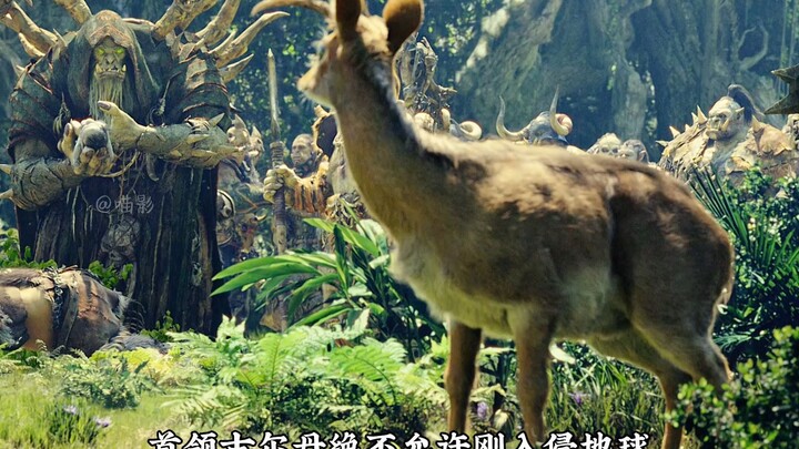 This movie is the youth of so many people!