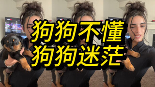 呜呜🥹小狗狗你可以玩平板🥹