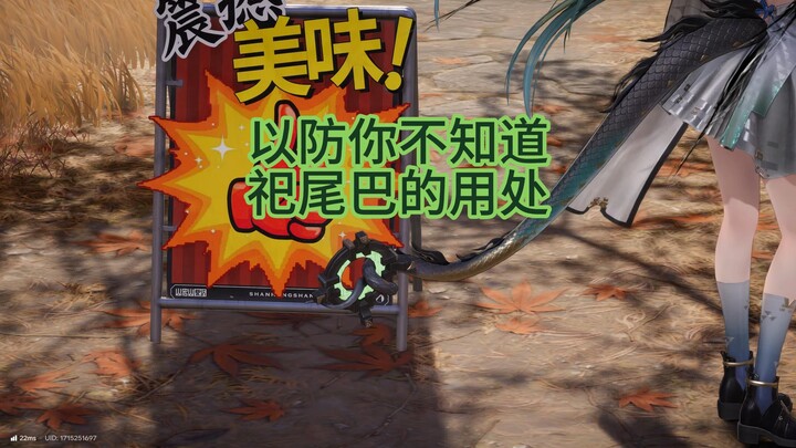 The function of the ring on the tail in Shima