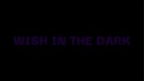 Wish In The Dark [Lirik Terjemahan Indonesia]
