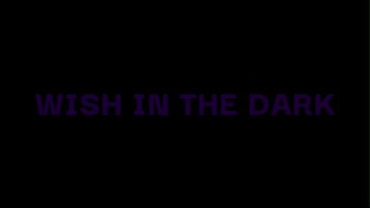 Wish In The Dark [Lirik Terjemahan Indonesia]