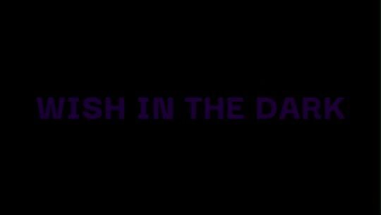 Wish In The Dark [Lirik Terjemahan Indonesia]