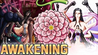 Mythical Zoan? Nico Robin Ternyata sudah Awakening Buah Iblisnya! - One Piece 1054+ (Teori)