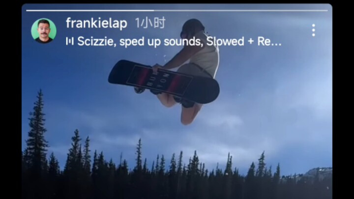 Sheep Fat Sexy Skiing