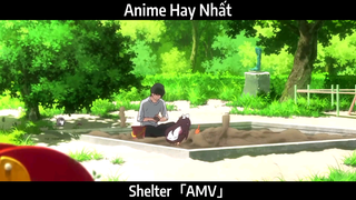 Shelter「AMV」Hay Nhất