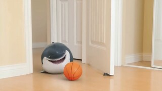 Cute baby shark