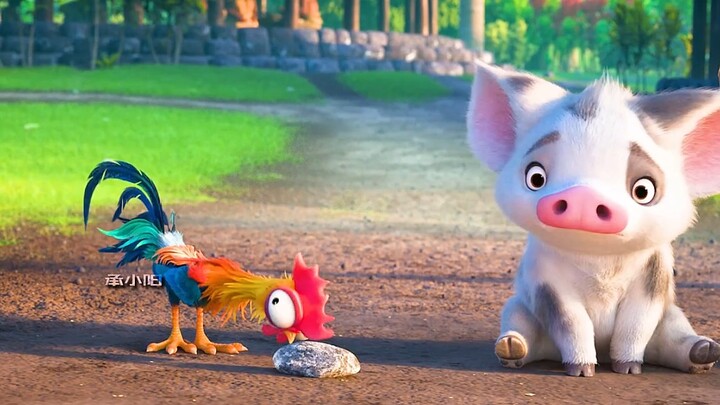 Even the sea despises this chicken.