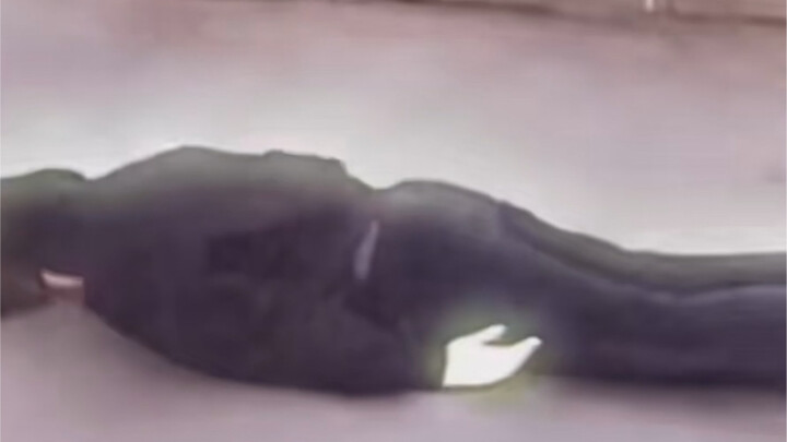 Being young is the best—just lay down and fall asleep!