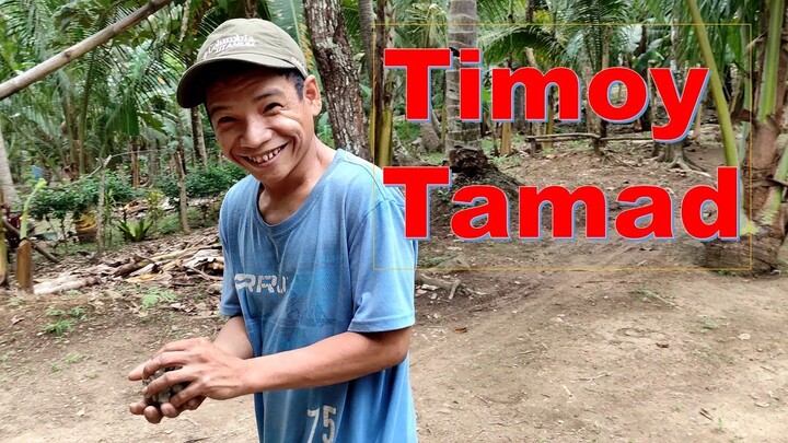 Si Timoy ang Batang Tamad