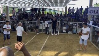 5 stag derby second fight (2 wins 2 loss 1 draw)