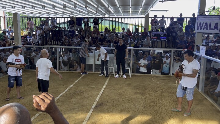 5 stag derby second fight (2 wins 2 loss 1 draw)