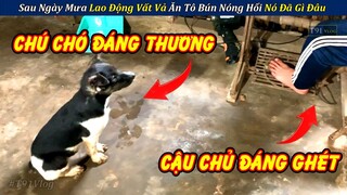 Review Một Ngày Lao Động Vất Vả Dưới Mưa Tầm Tã Ăn Tô Bún Nóng Nó Đã Gì Đâu