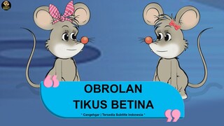 OBROLAN TIKUS BETINA