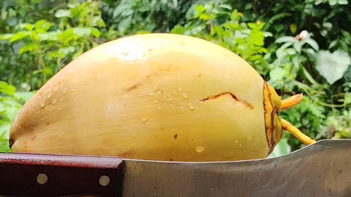 🥥❄️ 这个椰子真的太特别了！切开新鲜椰子的瞬间，冰凉清爽的椰子水映入眼帘！💦✨ 清脆的切割声加上自然的画面，整个过程非常解压、治愈。🌴🔪喜欢椰子、ASMR、美食和自然视频的朋友，记得点赞❤️