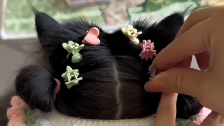A playful little ponytail paired with a cute hair clip—this is hailed as the cutest back view in the