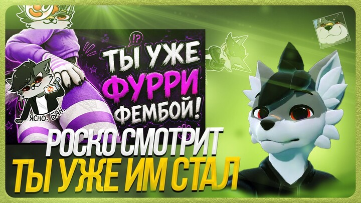 🐺 Роско смотрит 🍀Nava🍀 - Это доказывает, что ты фурри фембой!