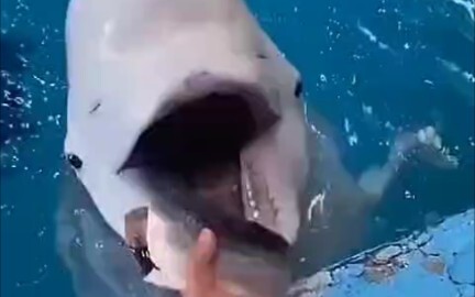 Ugh, this is so frustrating!