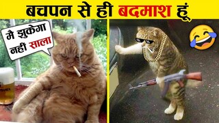 इन जानवरों से पंगा ना बाबा ना 😁🤣.... Funny Animals Video 2022 (Part-6)