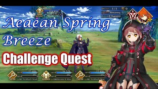 [FGO NA] Aeaean Spring Breeze CQ ft Mysterious Heroine X Alter 3T