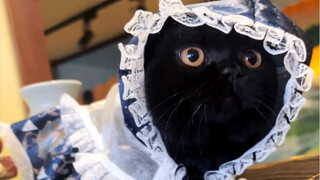 但愿流浪有终点！