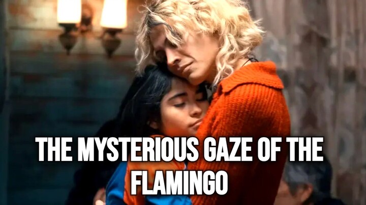 The Mysterious Gaze of the Flamingo (2025) Sub Indo