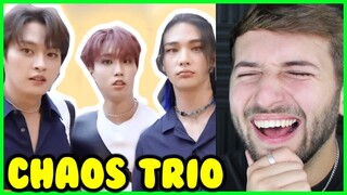 Stray Kids Paboracha trio are TOO FUNNY! (Stray Kids Reaction)