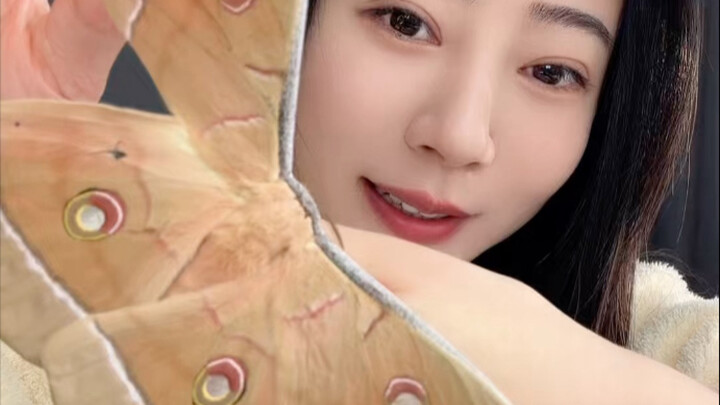 Chiếc áo khoác sang trọng, phú quý