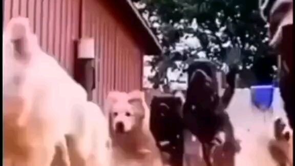 ae tui đến nè:))