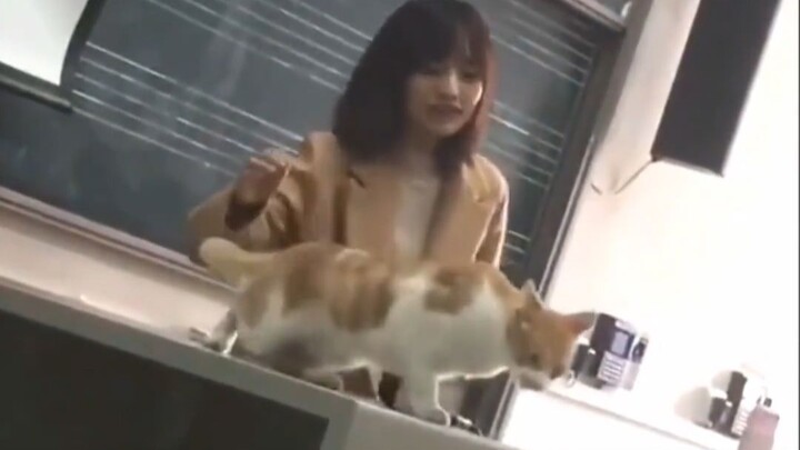 Cat: If you keep touching me, I’m not coming to the next class!
