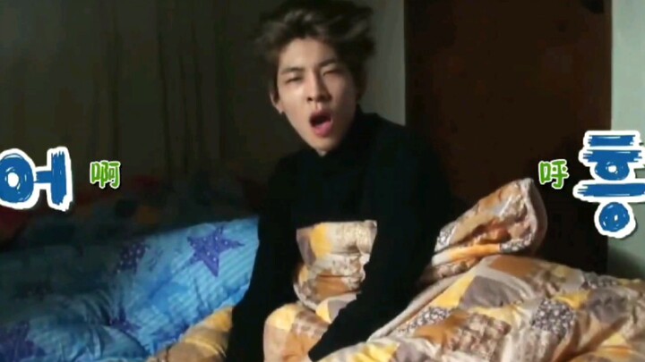 【كامل وونيو】قطة تثرثر في نومها وهي غافية!