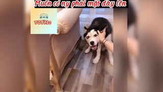 Thử thách nhịn cười -3-Phần cuối