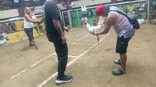 2nd fight for champion in Santa queteria 2hits win si puti #champion