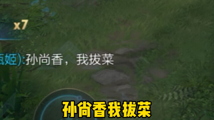 甄姬才是嘲讽天花板