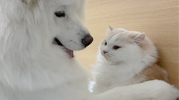 It's not that the emotions are not there, it's just that the posture is a bit tiring