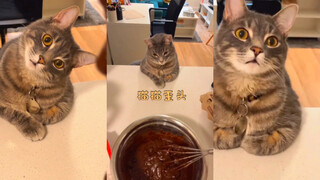 ماذا تفعل؟ (يُميل رأسه