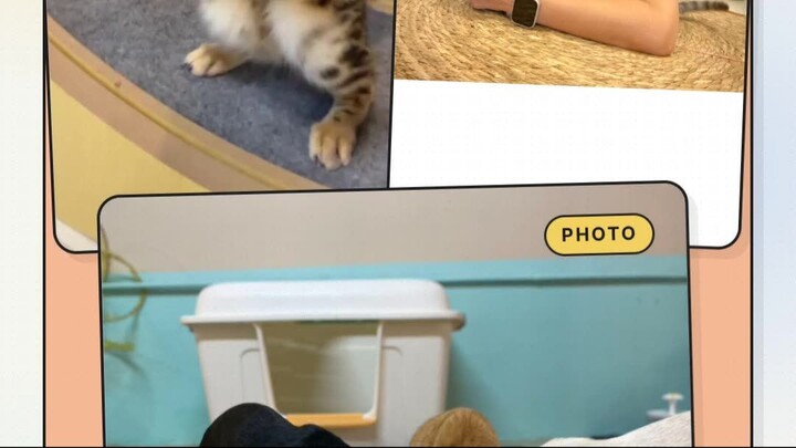 Rainy Day Cat Café Bangkok | วันฝนตกกับคาเฟ่แมว