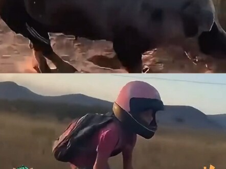 What is this—some innate Divine Beast Sect’s prodigy taming animals to use as mounts?!