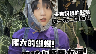 来自妈妈的歉意：独一无二的蝴蝶标本！