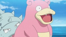 Slowbro Pokemon Paling Tebal Nyawanya