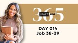 Day 014 Job 38-39 | Daily One Year Bible Study | Audio Bible Reading with Commentary