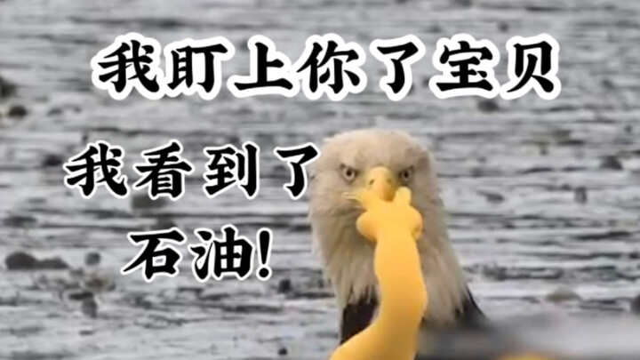 Khi bạn phát hiện ra dầu mỏ, à không, chính Mỹ phát hiện ra dầu mỏ