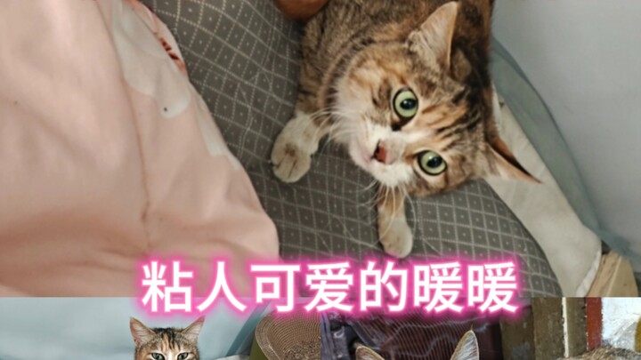 [Wonder Boy 1998] My latest work—come check it out!